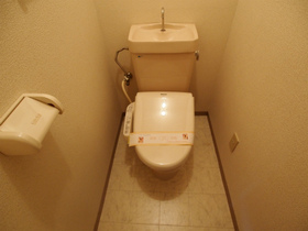 Toilet. Toilet