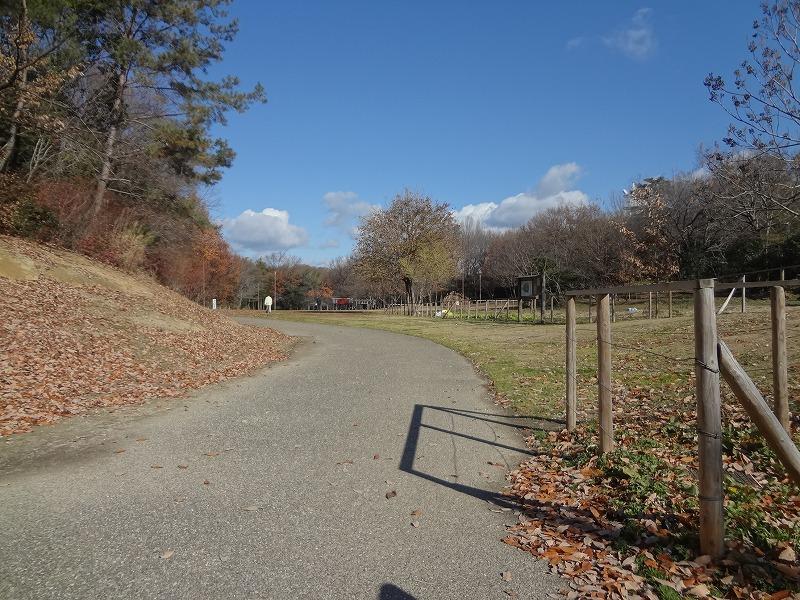 park. 80m until Akinori park