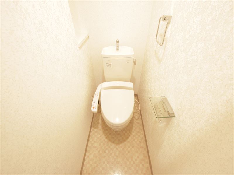 Toilet. With warm water washing toilet seat