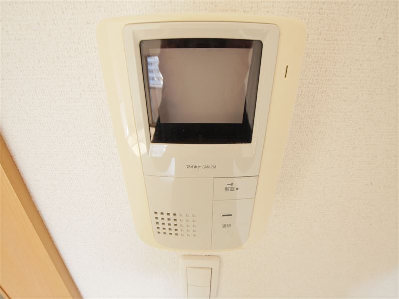 Security. Intercom with TV monitor