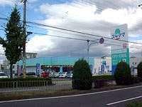 Drug store. Drag Sugiyama 971m to Chiyoda shop