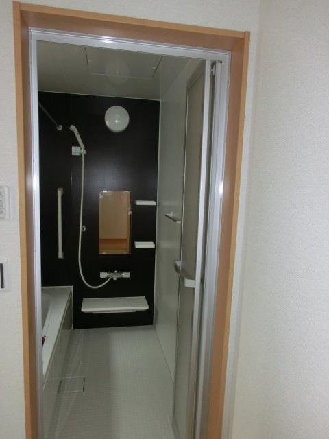 Bathroom. Indoor (10 May 2013) Shooting