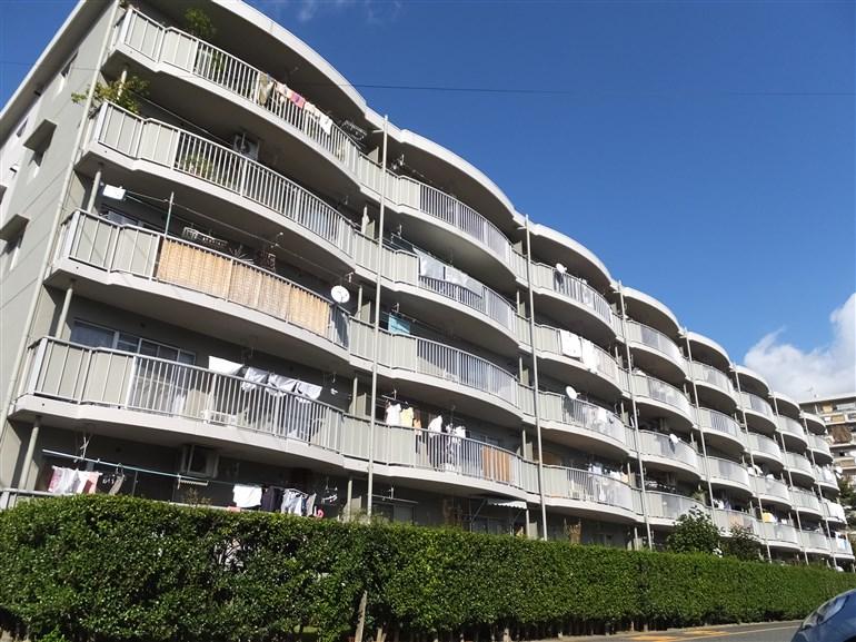 Local appearance photo.  ■ Local (12 May 2013) Shooting