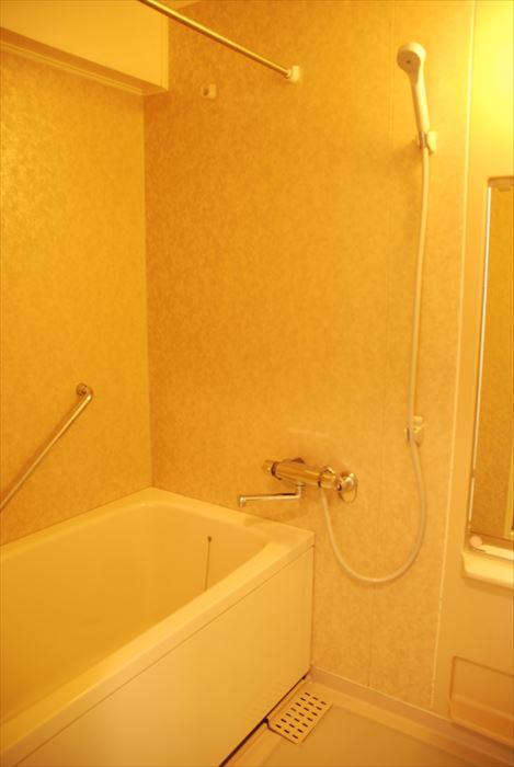 Bathroom. A clean bathroom