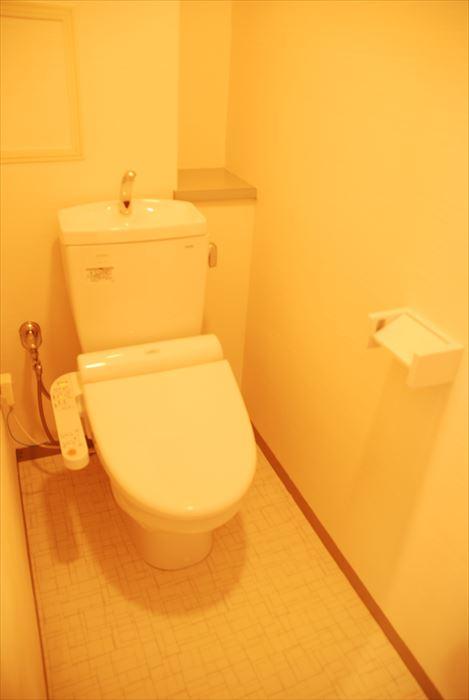 Toilet. New goods exchange already toilet