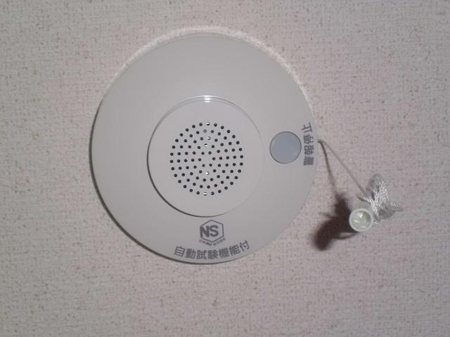 Same specifications photos (Other introspection). Example of construction Firebox