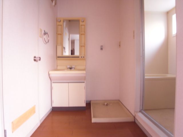 Washroom. Bathroom vanity