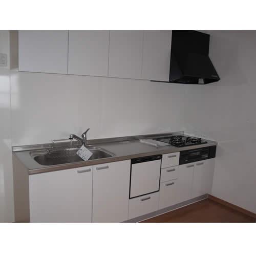 Kitchen. Indoor (June 2012) shooting