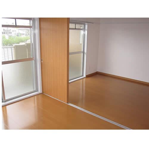 Other introspection. Indoor (June 2012) shooting