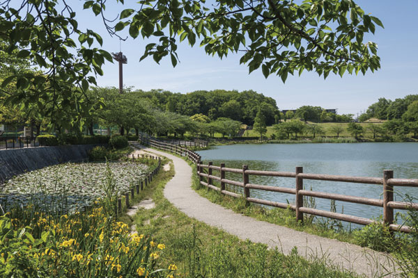 Surrounding environment. Shinkai pond park (a 9-minute walk ・ About 670m)