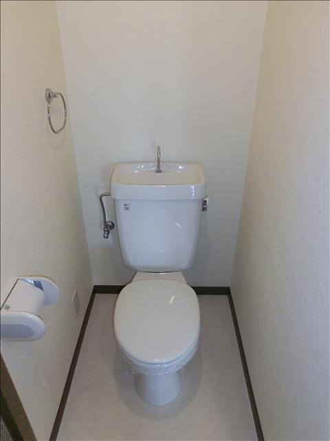 Toilet