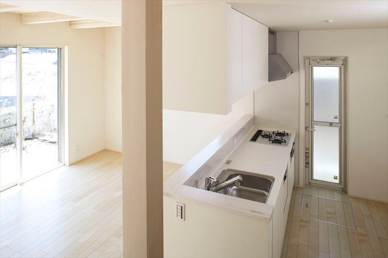 Kitchen. Kitchen with a building F kitchen back door is very useful also in the garbage disposal of wife.