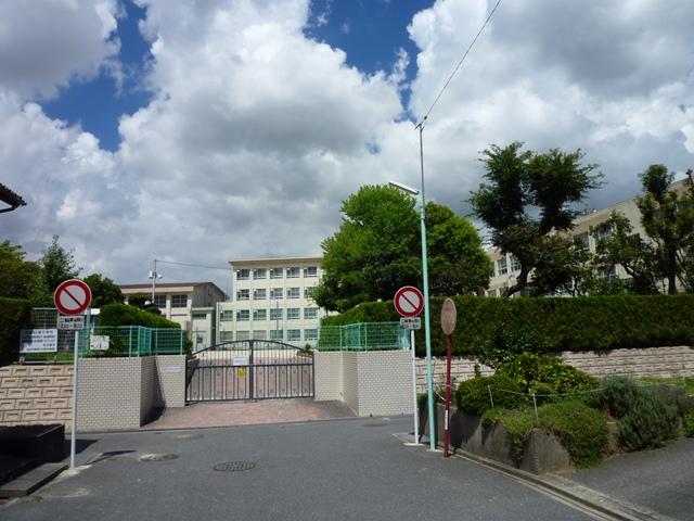 Primary school. 290m until the green elementary school