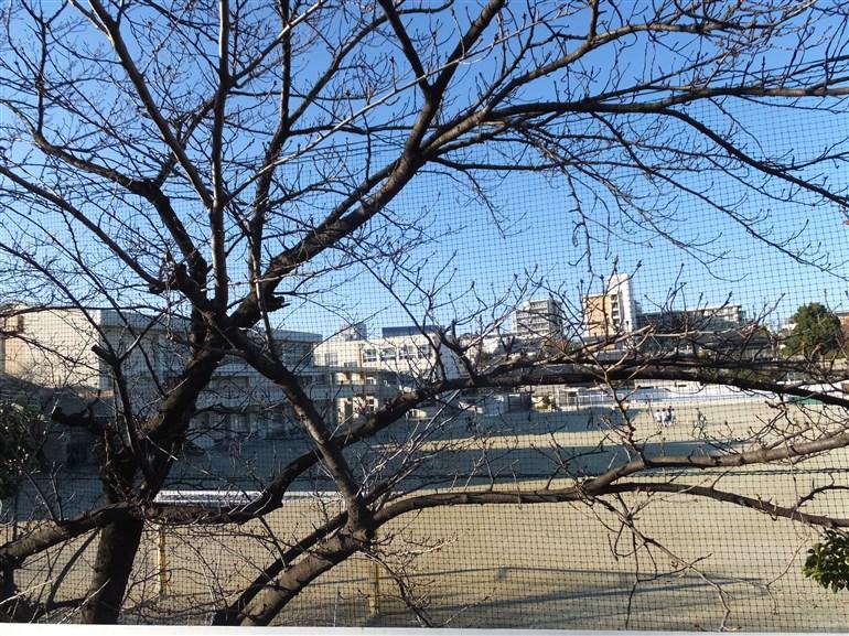 Other.  ■ 3-minute walk from the elementary school in the Asahi