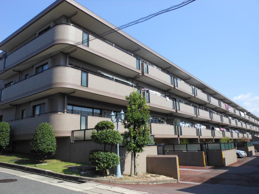 Local appearance photo. Local (07 May 2013) Shooting