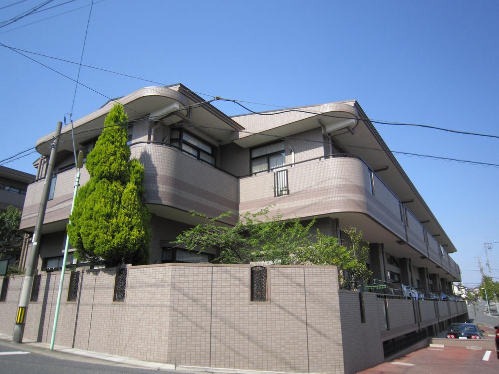 Local appearance photo. Local (07 May 2013) Shooting