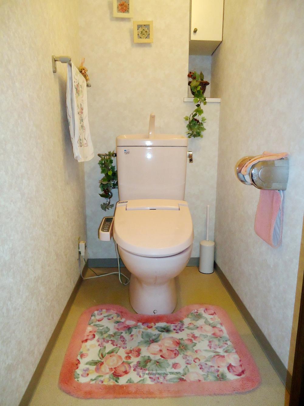 Toilet. Indoor (July 2013) Shooting