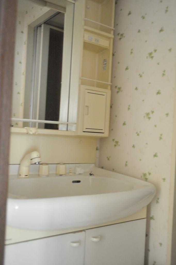 Bathroom. Vanity before bathroom.