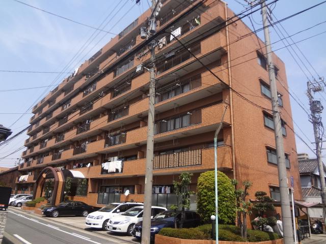 Local appearance photo. Local (September 2013) Shooting