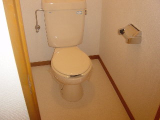 Toilet. Western-style toilet