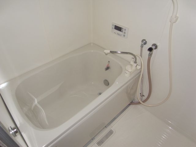 Bath. Additional heating with bus