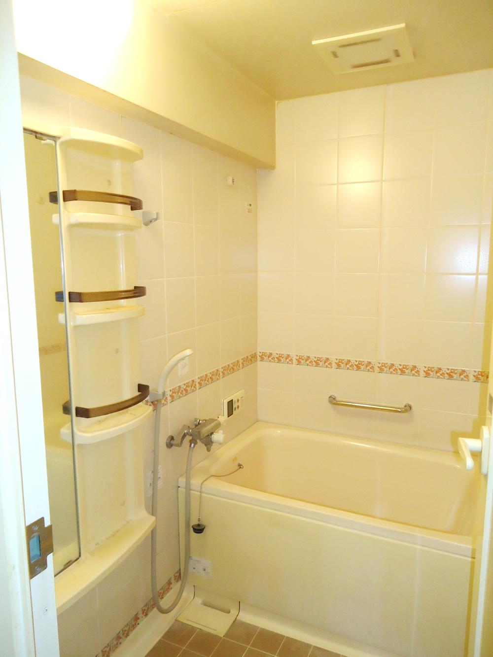 Bathroom. Indoor (September 2013) Shooting