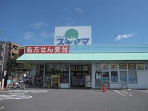Drug store. Drag Sugiyama until Kaminokura shop 220m
