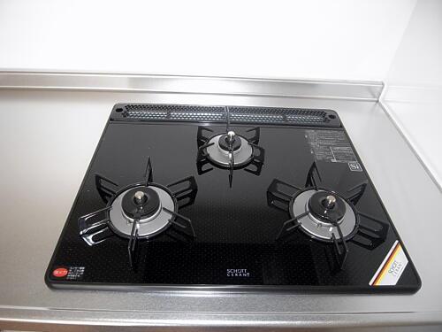 Kitchen. Stove burner