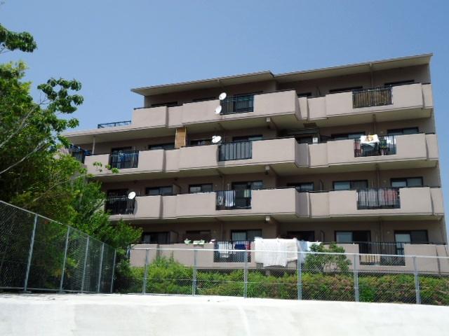 Local appearance photo. Local (10 May 2013) Shooting