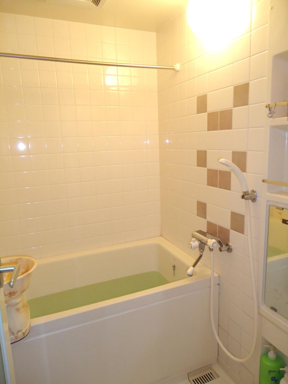 Bathroom. Indoor (10 May 2013) Shooting