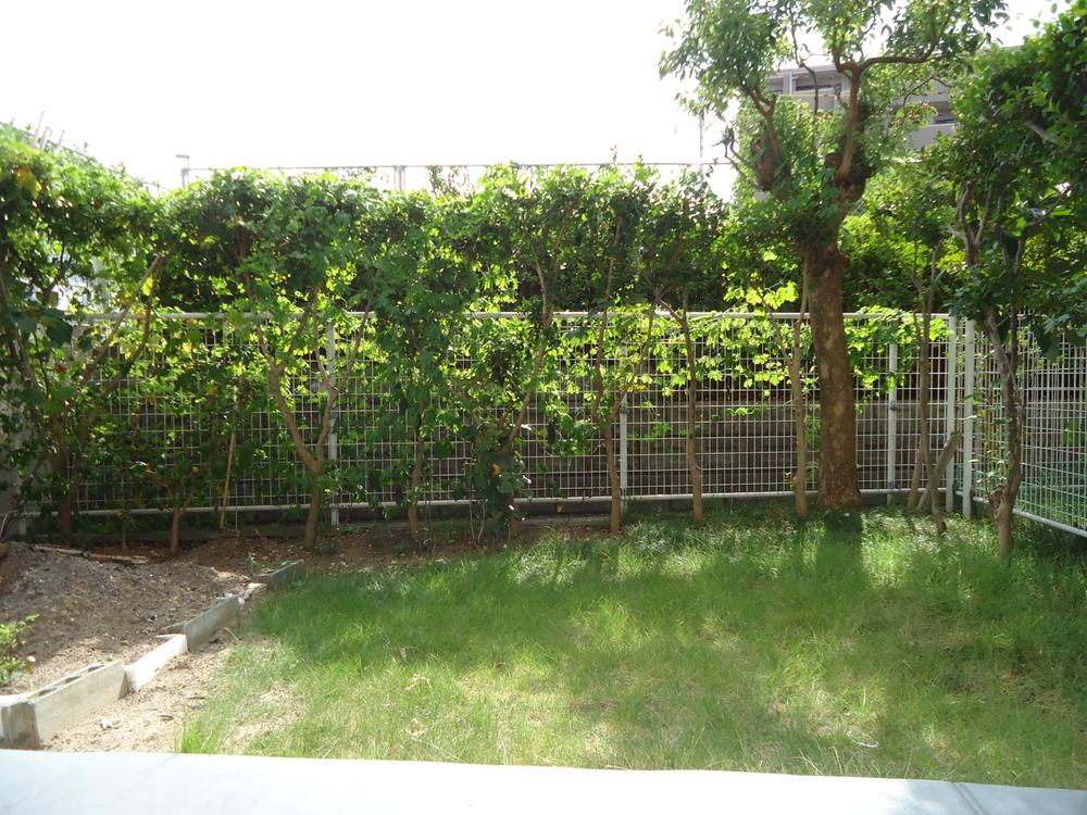 Garden. Local (10 May 2013) Shooting