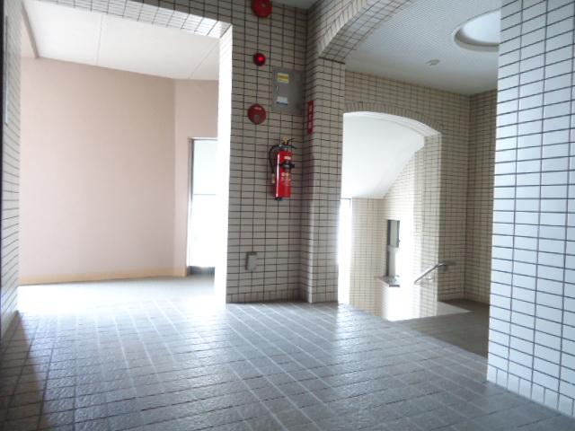 Entrance. Common areas