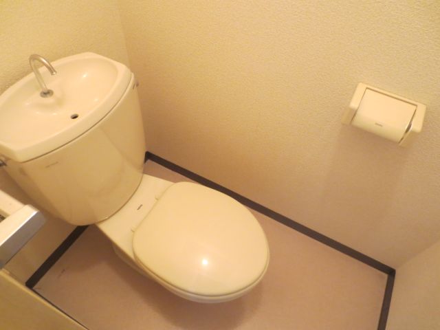 Toilet. Toilet