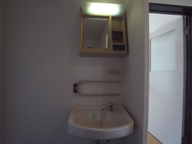 Washroom. Bathroom vanity