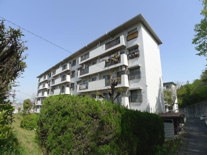 Local appearance photo. Local (11 May 2013) Shooting