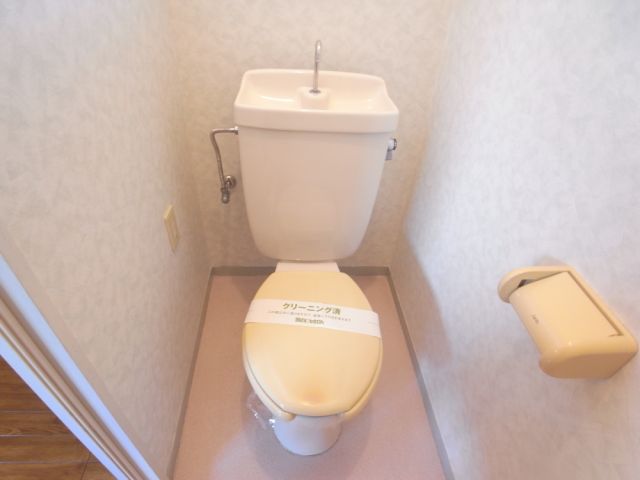 Toilet. Toilet