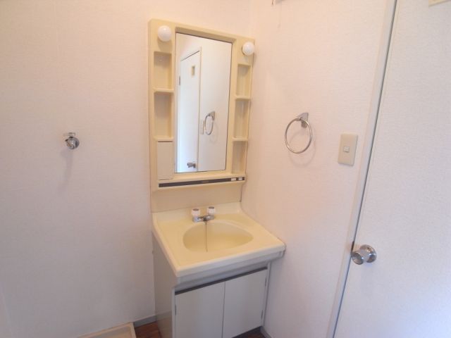 Washroom. Bathroom vanity