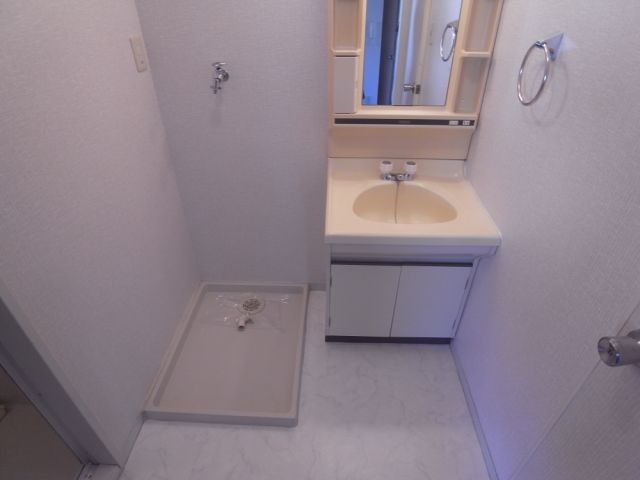 Washroom. Bathroom vanity