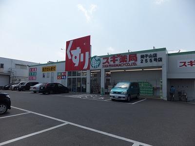 Drug store. Cedar pharmacy Ubakoyama shop