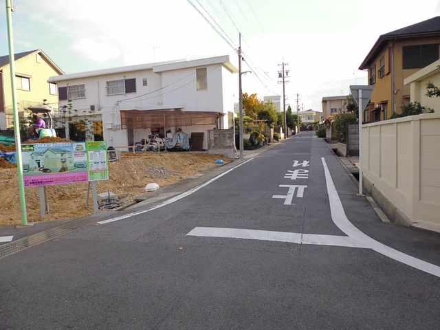 Local photos, including front road. Frontal road 2013 November 22, shooting