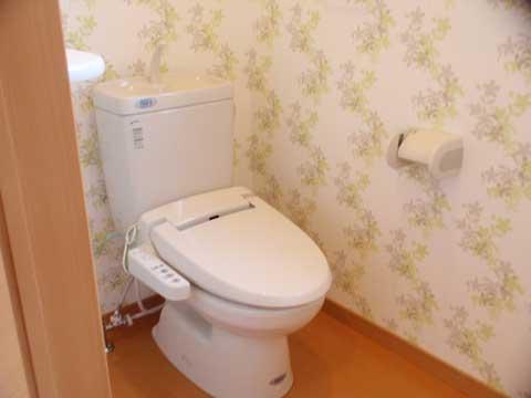 Toilet. Spacious toilet.