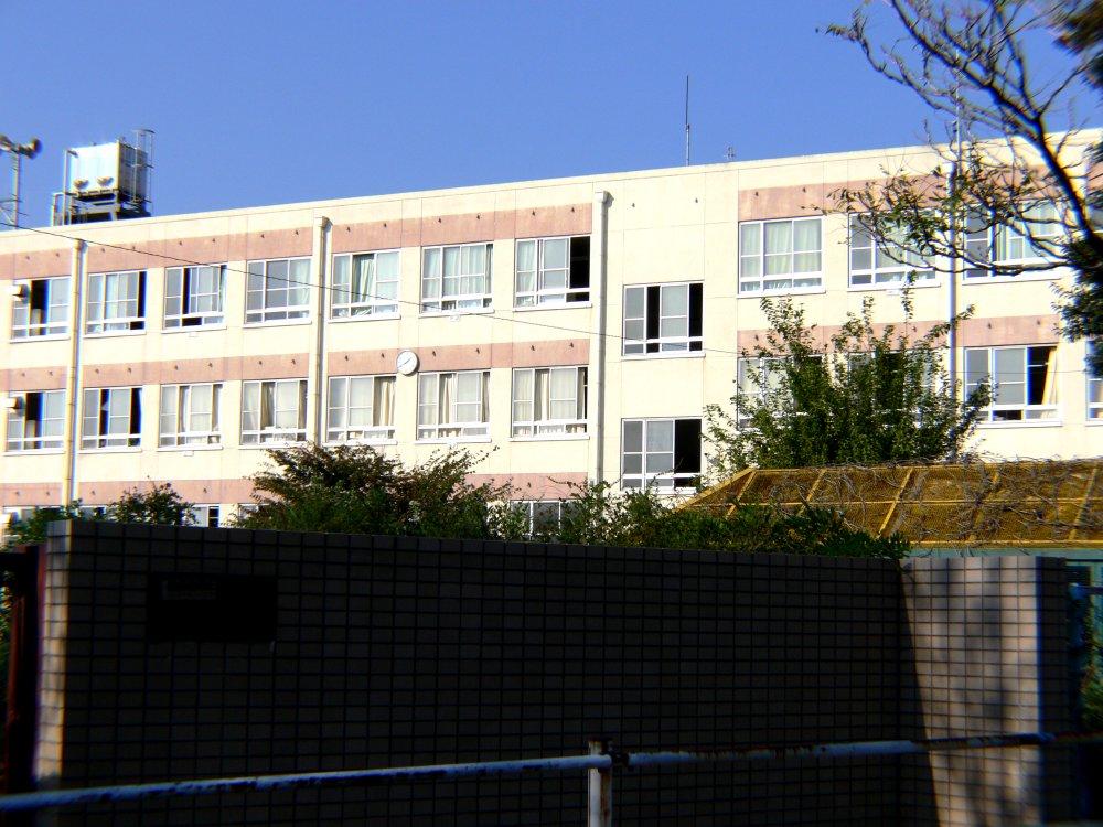 Primary school. Tokasa until elementary school 180m