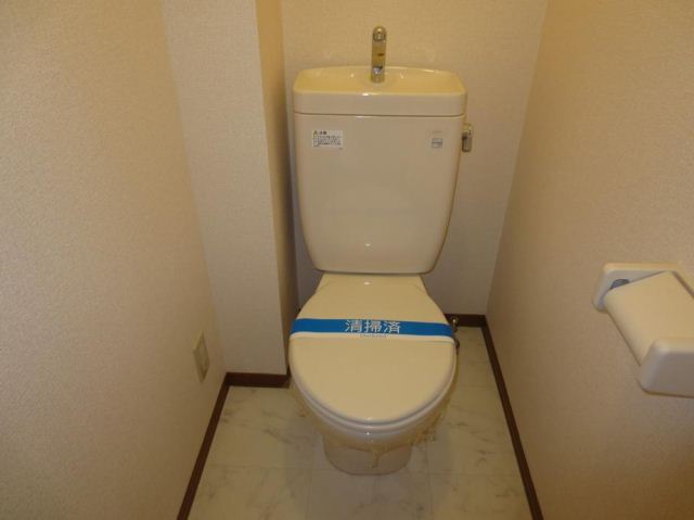 Toilet