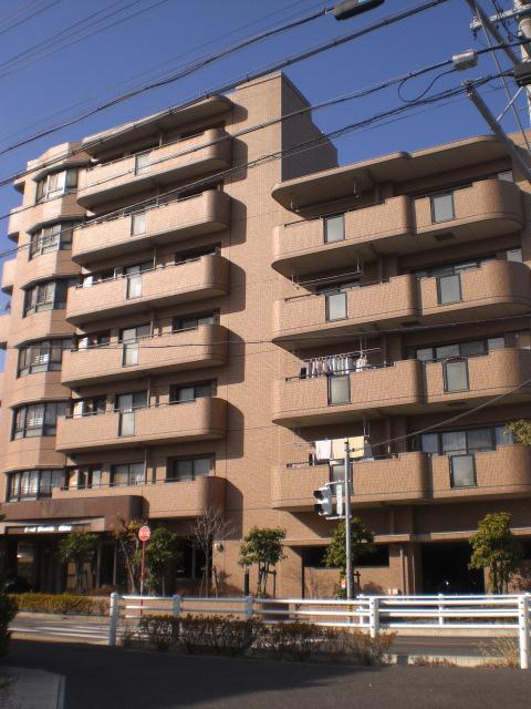 Local appearance photo. It is also a good day from the east side!