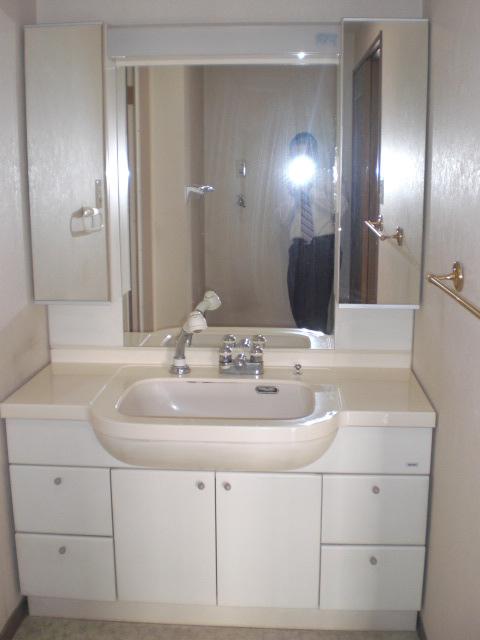 Wash basin, toilet. Spacious washroom!