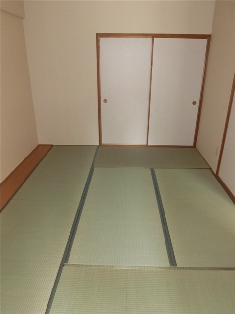 Other room space. Japanese style room