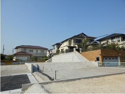 Local land photo. D compartment 2013.6.5