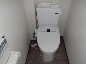 Toilet