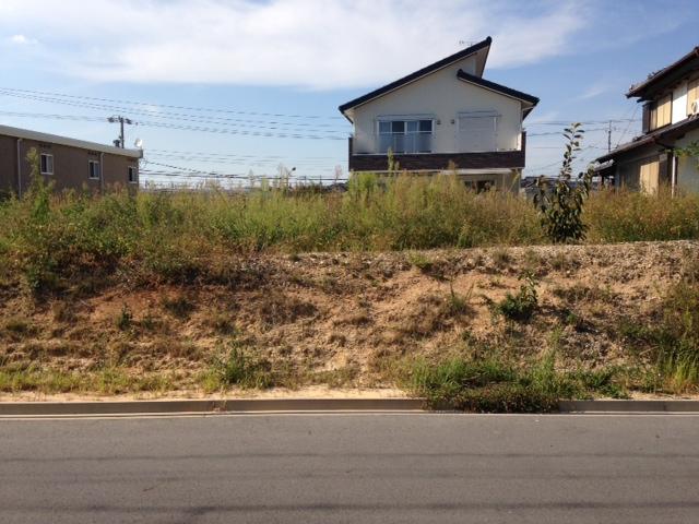 Local photos, including front road. Local shooting