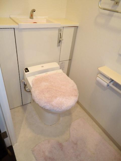 Toilet. Indoor (September 2013) Shooting